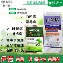 沃德伊诺 75%百菌清锈病白粉病霜霉病炭疽病叶斑病 谱广杀菌剂 100克