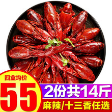 蟹小茉 小龙虾可剥虾尾小龙虾球 麻辣&十三香1.8kg 2盒4-6钱35-50只