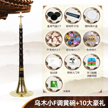 唢呐乐器全套 精制唢呐 初学者乌木唢呐 成人大小号唢呐 乌木小F调黄碗+10大豪礼