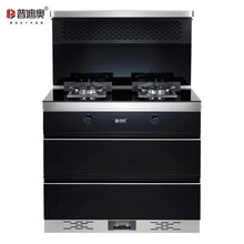 普迪奥A17《门店同款》集成灶环保灶下排式自动清洗集成一体式一体灶蒸箱烤箱一体抽烟机燃气灶具套餐 消毒柜款 液化气