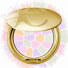 日本直邮 奥尔滨（ALBION）Elegance雅莉格丝欢颜蜜粉饼E大饼控油遮瑕 便携装1#哑光偏白大众通用色