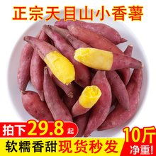 优蔬良果 正宗临安天目山小香薯5斤装 金手指红薯板栗山芋 迷你地瓜番薯 10斤中果