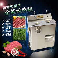 钦樽 绞肉机商用电动切菜机绞切机多功能不锈钢切肉机切片机切丝机灌肠机 半不锈钢款