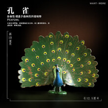 儿童认知动物模型玩具 仿真农场动物牛马羊猪驴狗猫鸭鹅鸡 孔雀