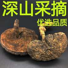 【源头保正】山滋情长白山野生黑芝 黑灵芝 皱盖假芝 乌芝 香血灵芝 血灵芝 玄芝250克干品 切片