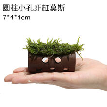 莫斯屋造景虾窝鱼虾透明亚克力虾屋观赏虾繁殖罐虾罐虾窝虾莫斯虾屋水草6026 圆柱小孔虾缸莫斯