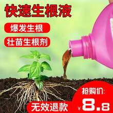 通用型 植物营养液 花肥 生根液 生根壮苗防止烂根 生根剂 花卉苗木扦插通用花肥料 特价款/浓缩生根液/500ml/瓶
