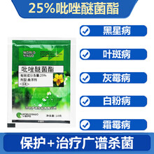 吡唑醚菌酯25%吡唑醚菌脂悬浮剂霜霉白粉病叶斑病果树蔬菜杀菌剂 10克*10袋
