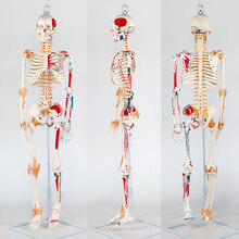 #RemHtml($!{product.content.wareName})