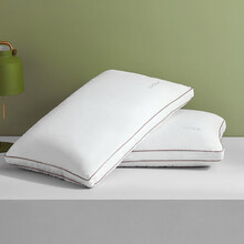 罗莱家纺LUOLAI床上用品波兰进口白鹅绒分区防螨抗菌七星枕头枕芯 W-One+95波兰进口白鹅绒分区防螨抗菌七星枕 47*73cm