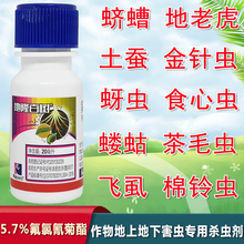 百树菊酯5.7%氟氯氰菊酯果树花卉蔬菜小菜蛾青虫地下害虫杀虫剂  300瓶/箱 20ml瓶