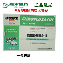 兽药兽用链菌专家恩诺沙星注射液各种链球菌拐脚恩诺沙星针 链菌专家
