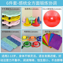 感统训练器材四分之一圆儿童体能训练幼儿园教具塑料独木桥圆形阶梯 6件套-感统全方面锻炼协调