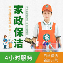 【速达易家】家电清洗上门服务家电表面除尘高端日常保洁家庭深度保洁 家政阿姨到家打扫专业家电清洗公司 4小时含擦玻璃