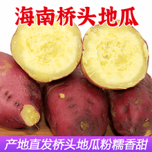 现挖海南澄迈桥头地瓜 新鲜富硒地瓜 板栗红薯 9斤装