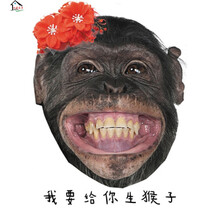 节日气氛派对道具纸质搞笑脸面具葫芦娃年会舞会拔河表情包 大猩猩