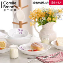 康宁餐具（CORELLE）美国进口玻璃餐具高档夹层玻璃家用9件碟碗盘子套装微波炉烤箱可用 紫色幸运草16头