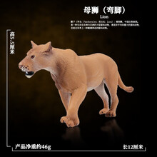 Oenux正版实心仿真野生动物园模型套装大象老虎狮子王长颈鹿儿童玩具 母狮（弯脚）M502