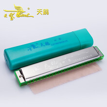 天鹅口琴24孔复音C调初学者学生入门儿童重音口风琴乐器 绿色复音+琴布+琴盒+初学礼包