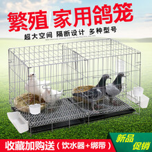 白鸽笼鸽子笼养殖笼鸽子配对笼大号鸽子笼家用带隔断繁殖鸽笼清仓 隔断80*40*46带托盘食具脚垫