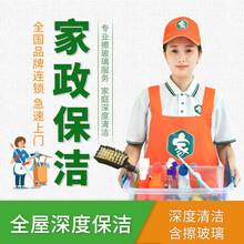 【速达易家】家政保洁上门服务家电表面除尘高端日常保洁家庭深度保洁 家政阿姨到家打扫专业家电清洗公司 深度保洁定金