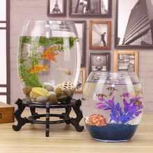 创意桌面鱼缸生态圆形玻璃金鱼缸乌龟缸迷你小型造景家用水族箱 15号炮+石子+假草+鱼食+定植篮