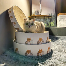 猫抓板磨爪器猫爪板瓦楞纸猫窝猫抓盆不掉屑圆形猫碗猫咪玩具用品 卡通猫咪大号