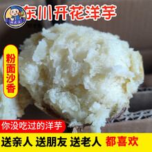 顾老表东川开花洋芋云南特产红皮粉沙面土豆黄心面沙小土豆糯马铃薯5斤 9斤开花洋芋 鸡蛋以上大小