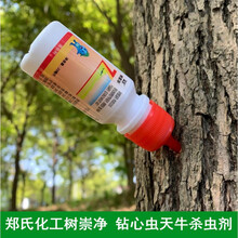 郑氏化工树虫净天牛钻心虫蛀木虫小蠹虫吉丁虫插瓶杀虫剂20ml/支 20ml