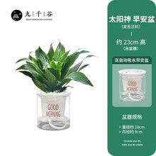 阿波罗水槽 价格 图片 品牌 怎么样 京东商城 阿波罗水槽 价格 图片 品牌 怎么样 京东商城
