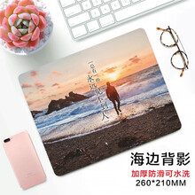 雷真鼠标垫小号加厚可爱女生卡通游戏动漫二次元电脑办公学生桌垫定制 海边背景 260*210*2MM未锁边