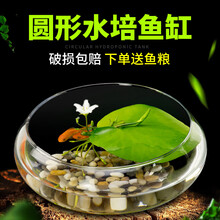 绿伴 圆形玻璃鱼缸 圆形斗鱼缸小金鱼缸家用鱼缸小型桌面鱼缸小鱼缸迷你缸办公室懒人鱼缸睡莲水养水培植物 大号一叶莲缸套餐【含雨花石】