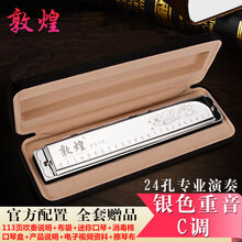 Easttop上海老品牌敦煌口琴24孔复音重音成人初学者学生专业演奏口琴 24孔重音银色C调