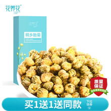 花养花 胎菊菊花茶桐乡胎菊茶 杭白菊花草茶叶盒装袋泡茶 60g