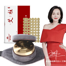 俞兆林 LT01 无烟艾灸盒一联 附赠54粒艾柱 家用温灸仪器贴腰部随身包纯铜罐儿童非木制竹质 艾条艾柱适用