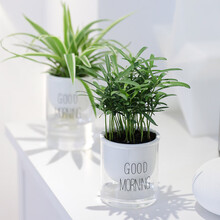 恰好时光 北欧风懒人花盆2个装自动吸水储水式透明塑料水培土培花盆种植盆 多肉绿萝吊兰花盆含棉绳内胆120ml