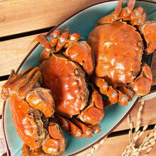 【活蟹】鲜木 盘锦河蟹稻田蟹现货公母公5只母5只蟹鲜活螃蟹缺重包赔 下单预定 公蟹2.2-2.5两10只装