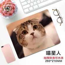雷真鼠标垫小号加厚可爱女生卡通游戏动漫二次元电脑办公学生桌垫定制 喵星人 260*210*2MM未锁边