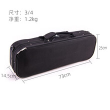 小提琴琴盒小提琴配件帆布小提琴方盒琴盒琴包轻便双肩背可拎应急防水 A款黑色小提琴方盒3/4尺寸