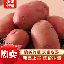 云南新鲜现挖大土豆批发黄心土豆5/10斤马铃薯士豆鲜洋芋土豆 红皮 10斤带箱【中号】净重9-9.5斤