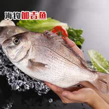 真鲷鱼】价格_图片_品牌_怎么样-京东商城