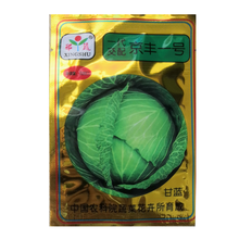 民汇园 京丰一号甘蓝种子  紫红甘蓝种子 蔬菜种子 包菜种子 中熟甘蓝种子 一代杂交 春秋种植  京丰一号2克/袋
