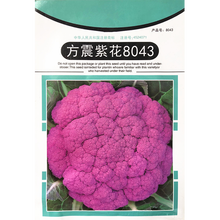 紫色花椰菜 价格 图片 品牌 怎么样 京东商城