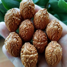 #RemHtml($!{product.content.wareName})