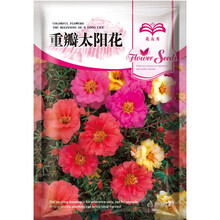 花友秀 重瓣太阳花种子花卉盆栽四季易活花种子花卉种子 室内阳台花卉盆栽花种籽子 重瓣太阳花种子混色 2克约2万粒 厂商封装