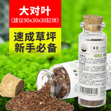 老渔匠鱼缸水草泥造景不浑水不粉化草缸底砂陶粒砂土亚马逊免清洗水草泥 大对叶速成种子瓶装（15ml）