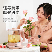 生活元素（LIFE ELEMENT）养生壶 烧水壶玻璃茶壶燕窝炖盅多功能保温煲水壶办公室小型D60 D56（不含炖盅）