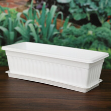 寿禾 长方形种菜盆蔬菜盆阳台超大韭菜种植箱大号带托盘菜盆 白色种菜盆 1个 大号
