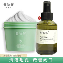雪玲妃火山泥清洁面膜女深层清洁毛孔收缩男清洁黑头粉刺涂抹式泥膜 火山泥面膜100g+马鞭草纯露