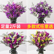 魅扣 勿忘我干花花束大束满天星野餐拍照天然真花云南摆设客厅家居装饰摆件 紫色勿忘我1斤(不带花瓶)